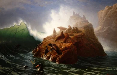 Seal Rock
